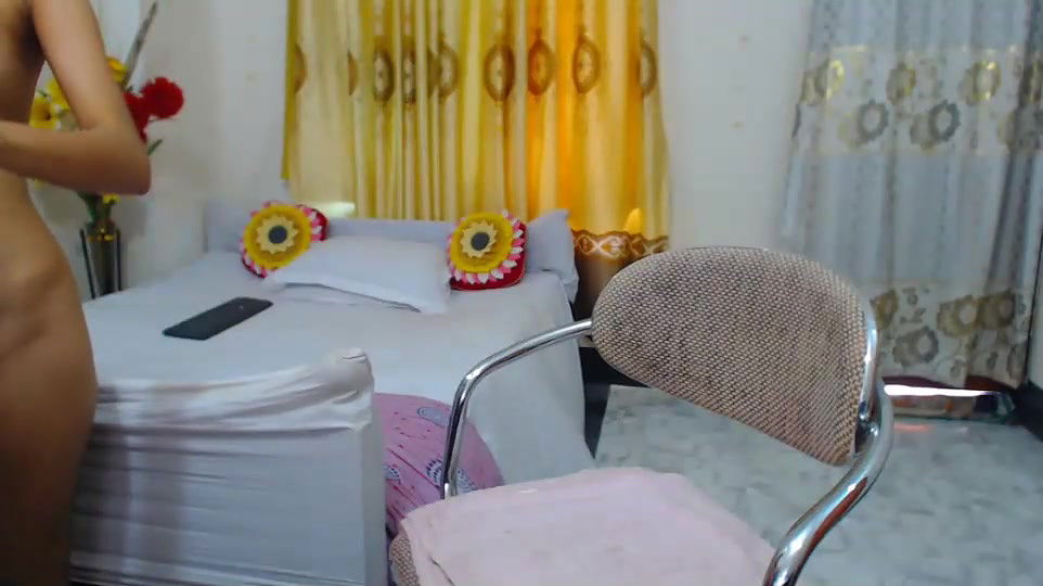 New premium cam collection – 294