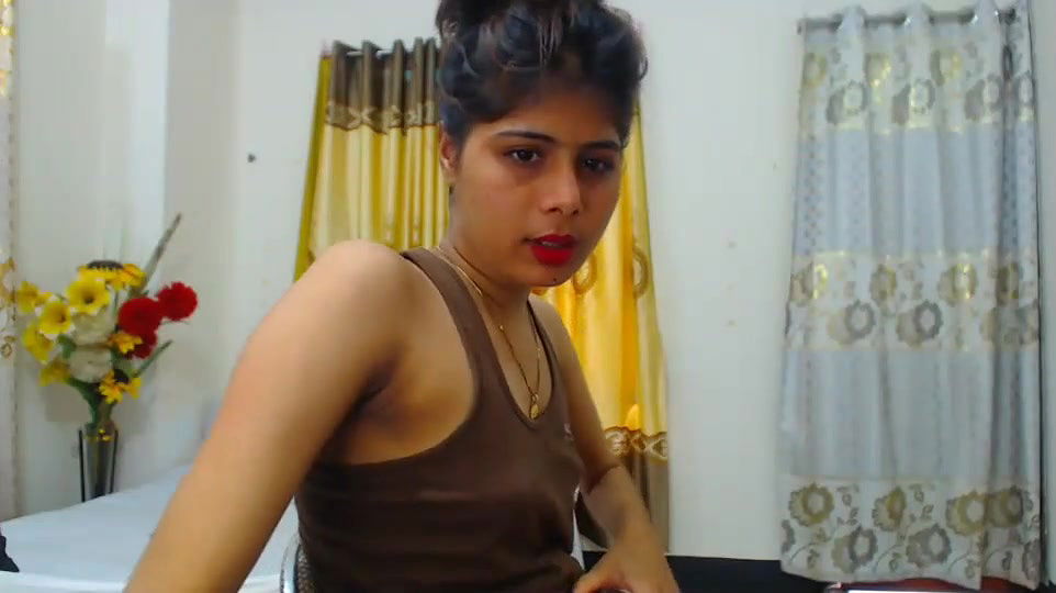 New premium cam collection – 294