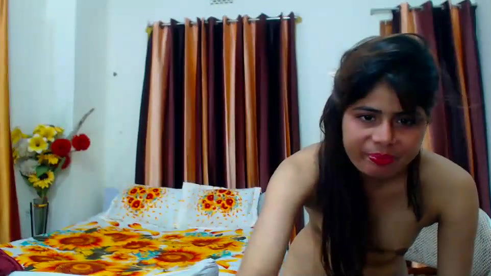 New premium cam collection – 312