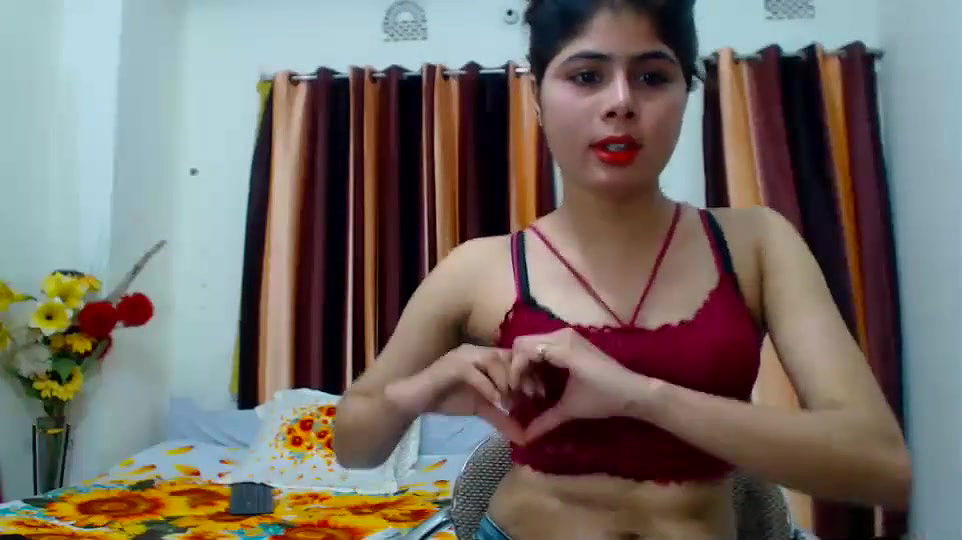 New premium cam collection – 317