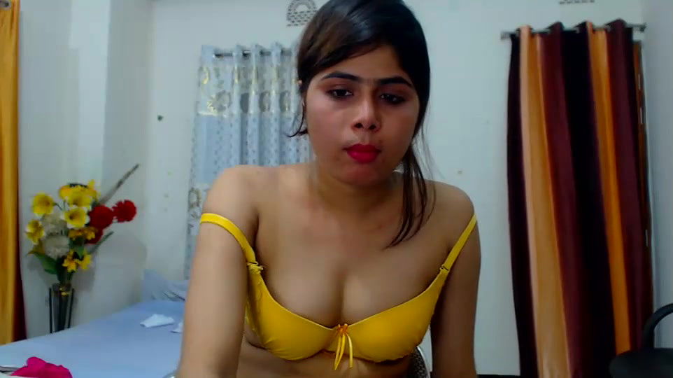 New premium cam collection – 323