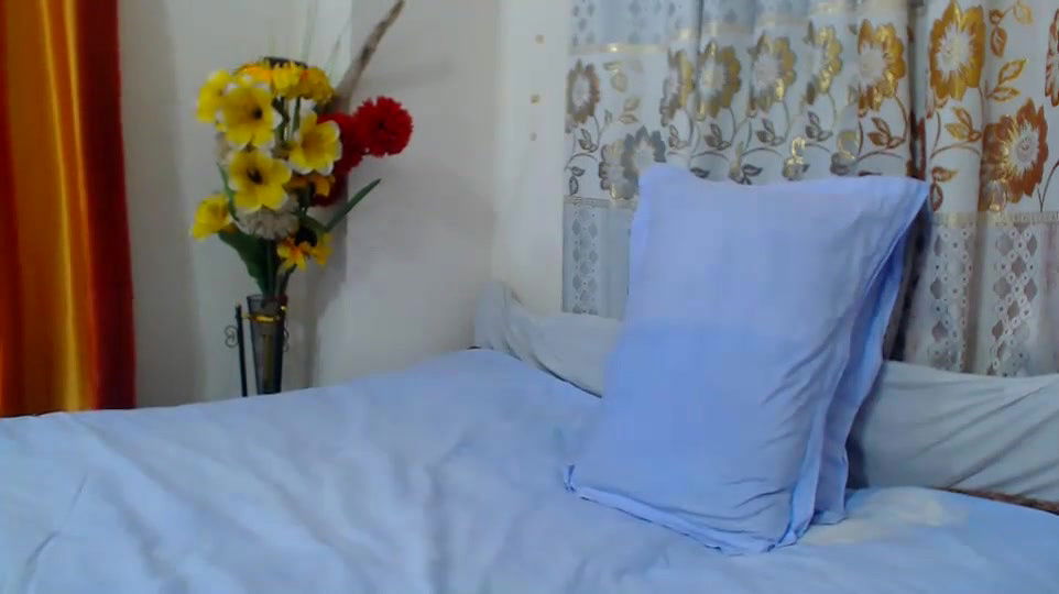 New premium cam collection – 328