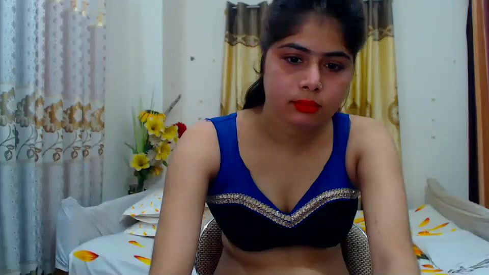 New premium cam collection – 337