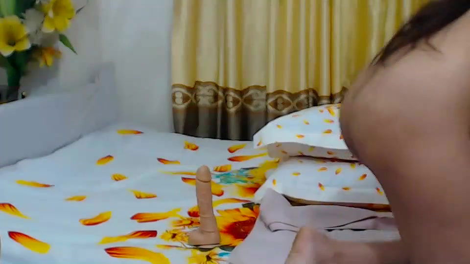 New premium cam collection – 337