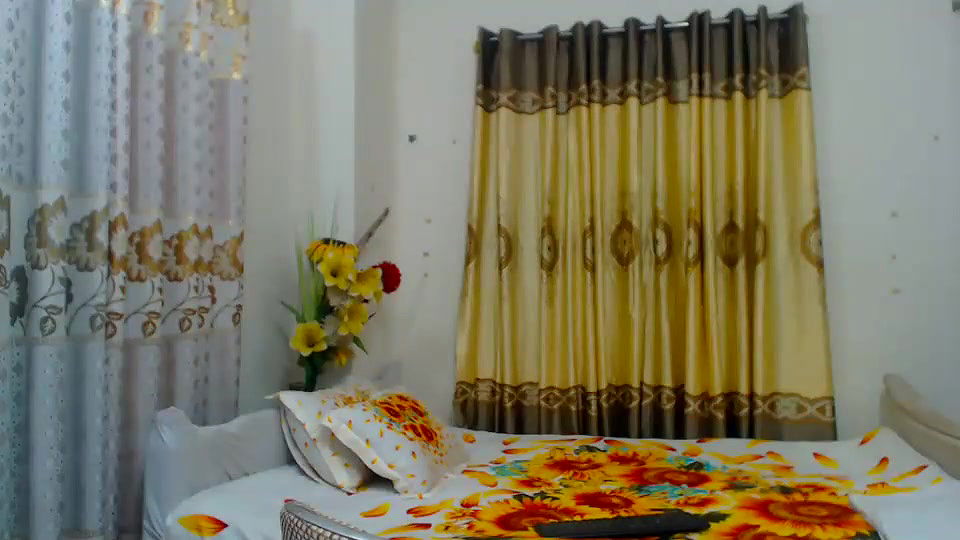 New premium cam collection – 338