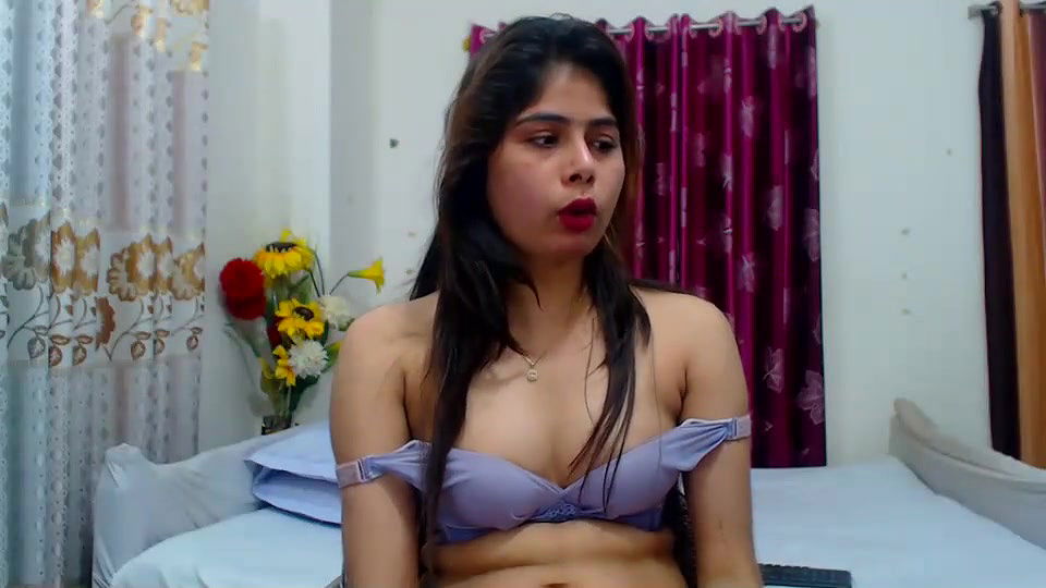 New premium cam collection – 341