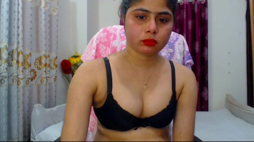 New premium cam collection – 345