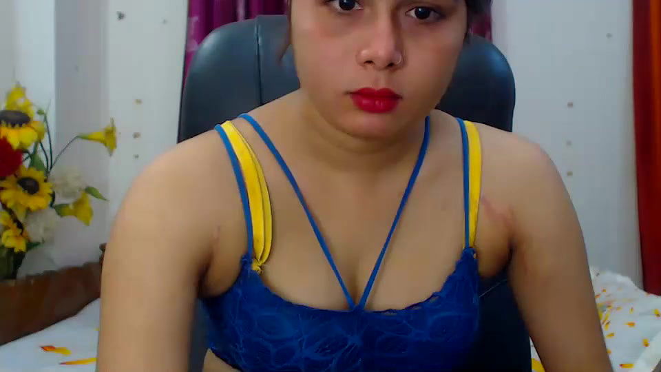 New premium cam collection – 355