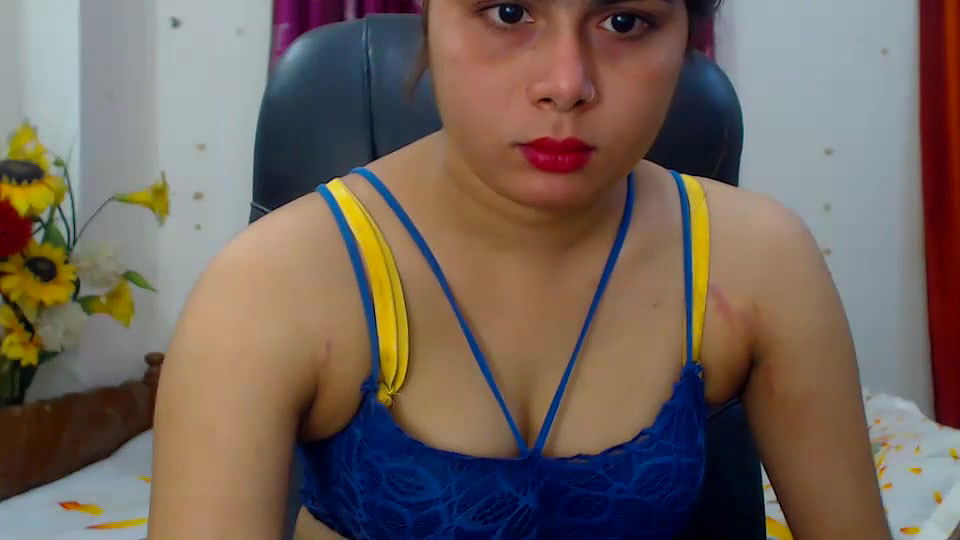 New premium cam collection – 355