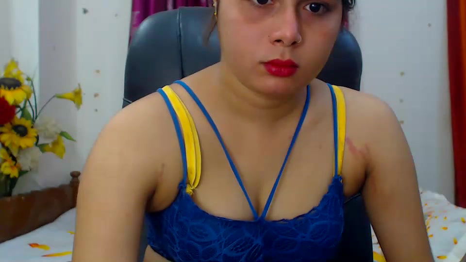 New premium cam collection – 355