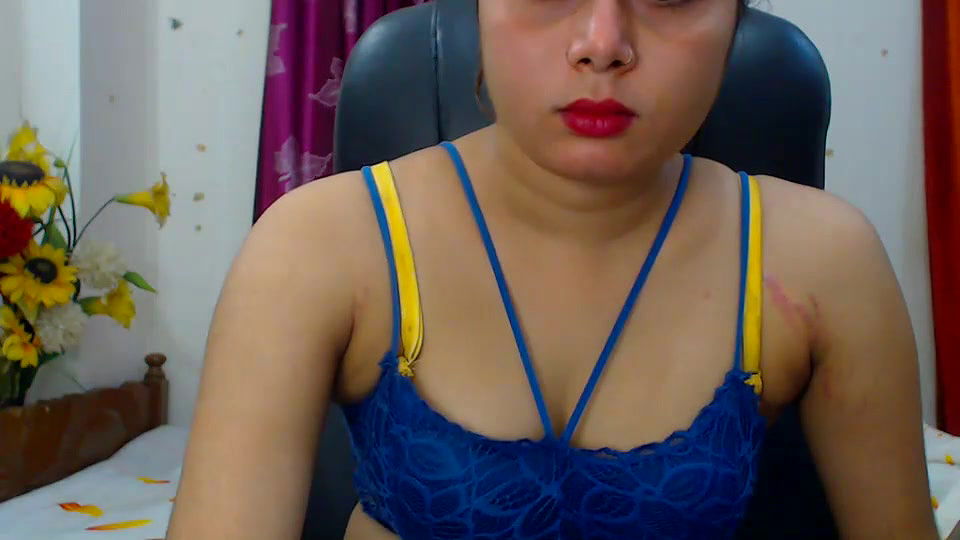 New premium cam collection – 356