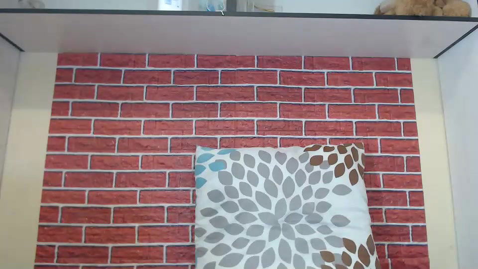 New premium cam collection – 413