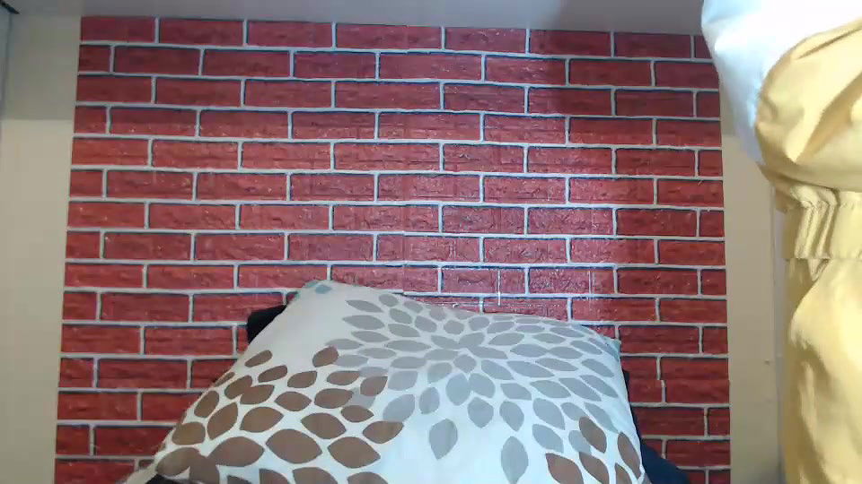 New premium cam collection – 419