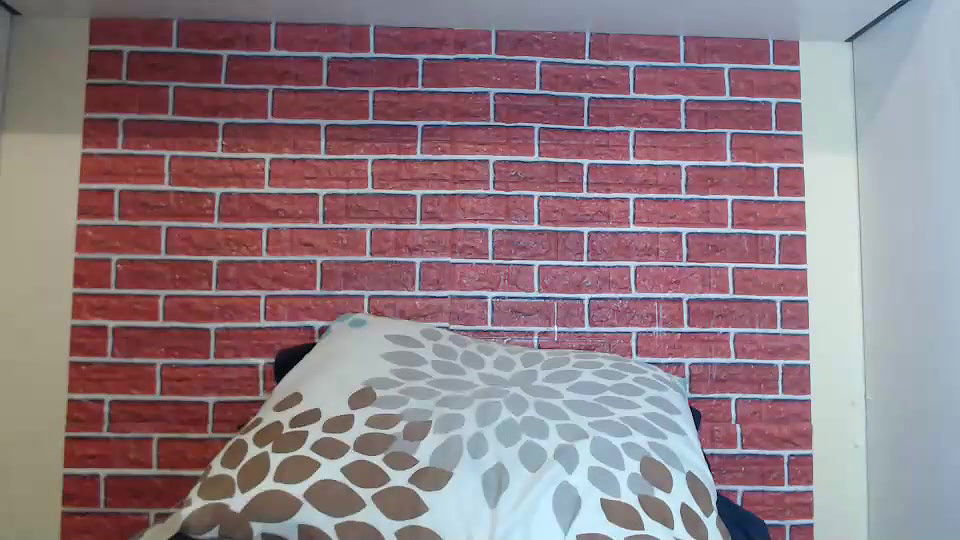 New premium cam collection – 419