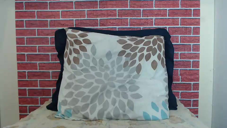 New premium cam collection – 518