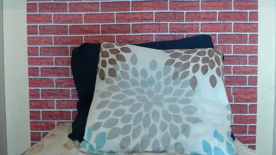 New premium cam collection – 542