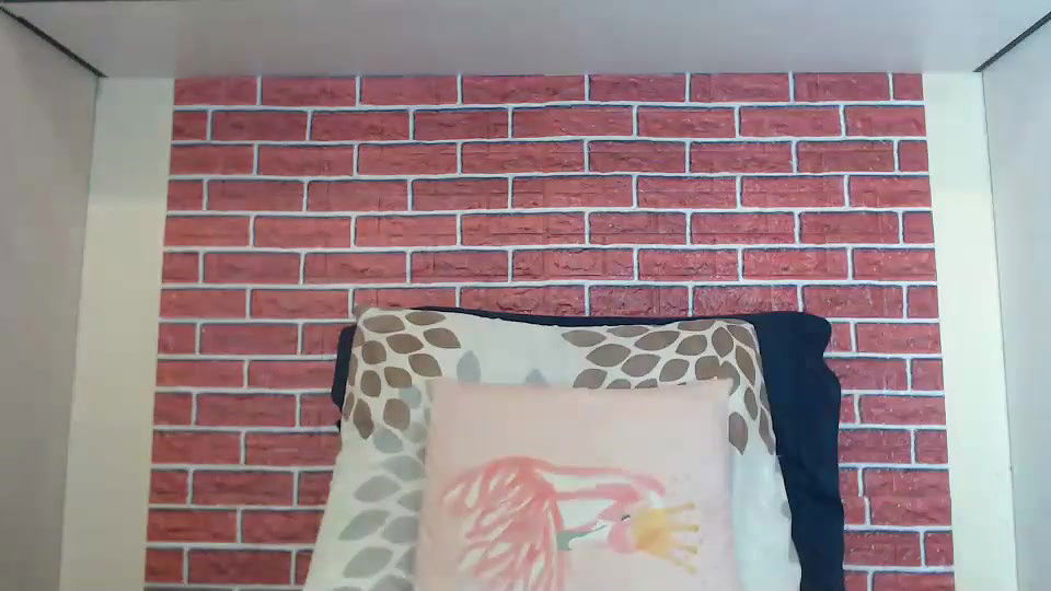 New premium cam collection – 551