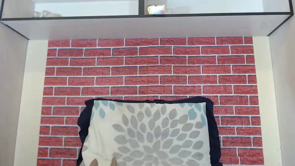 New premium cam collection – 560