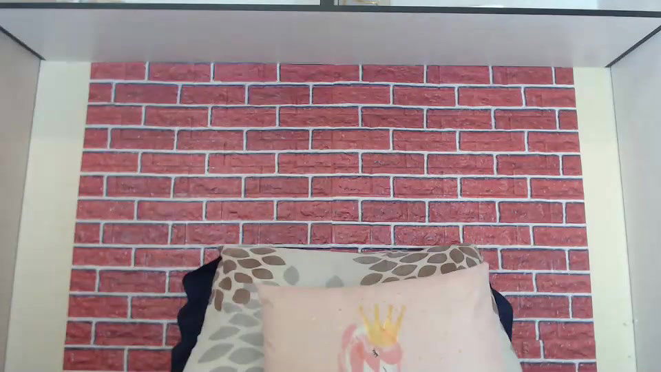 New premium cam collection – 574