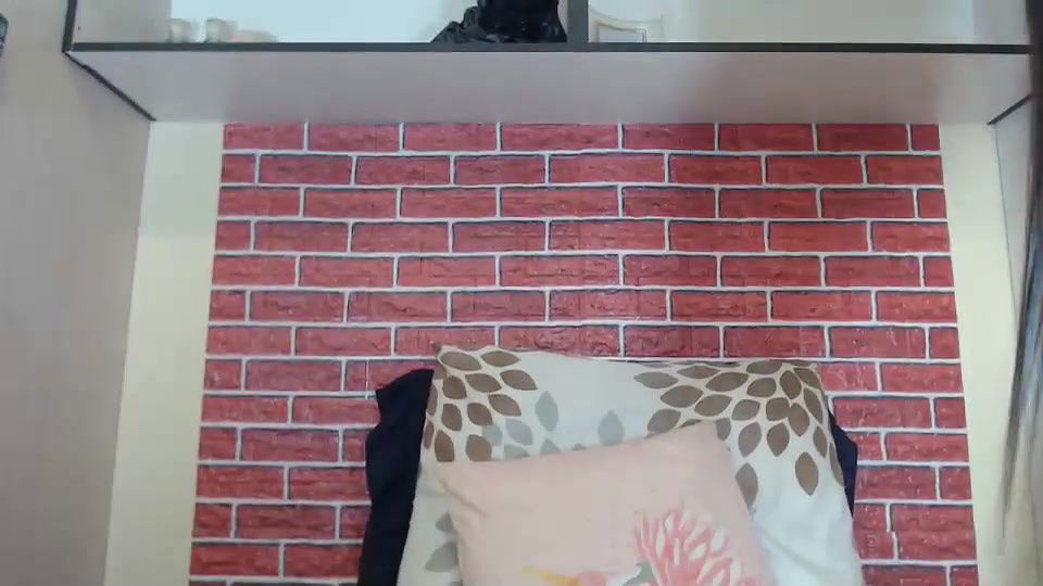 New premium cam collection – 579