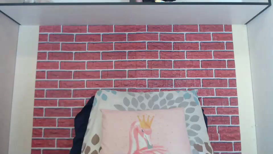 New premium cam collection – 590