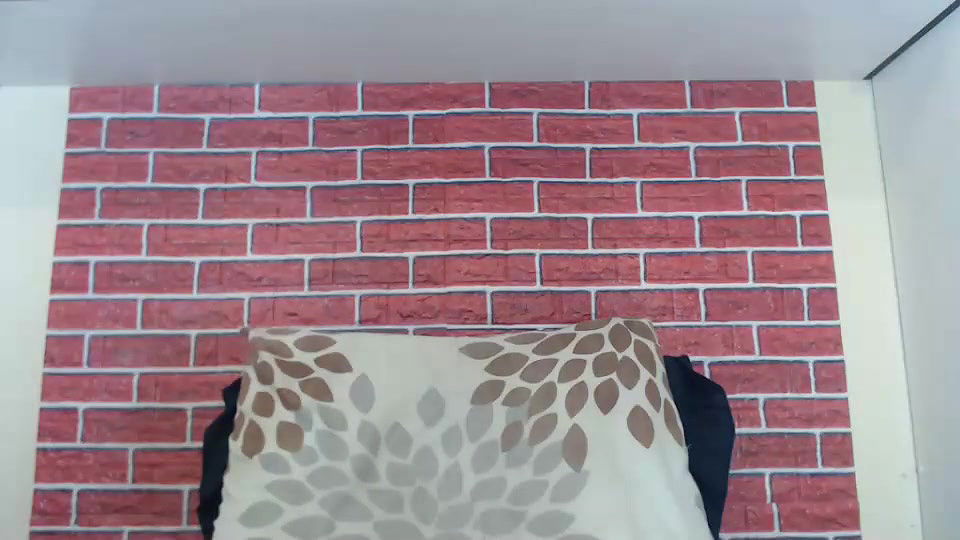 New premium cam collection – 603