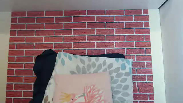 New premium cam collection – 616