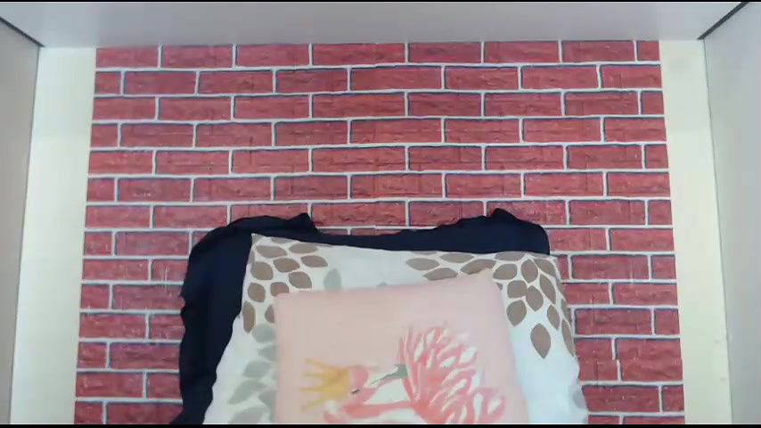 New premium cam collection – 633