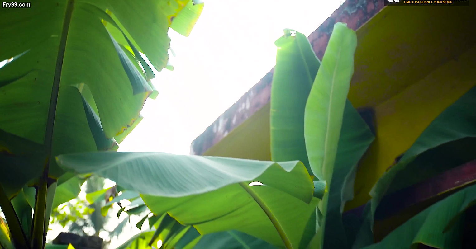 Desi Majdur Ki Patni ke sath kaam dene ke bahane Malik ne Doodh Nikal Nikal Ke Khub pela Ghar ke Bahar ( Hindi Audio )