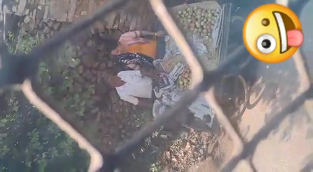 Aunty Giving handjob to apple street seller