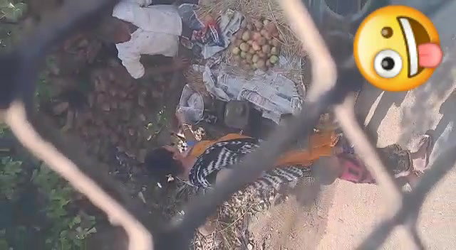 Aunty Giving handjob to apple street seller