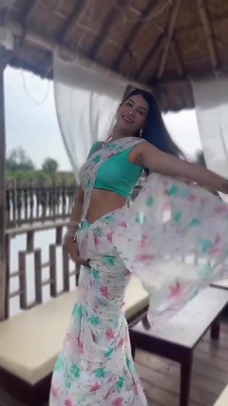 Elakshi Gupta Sexy Moves in Saree