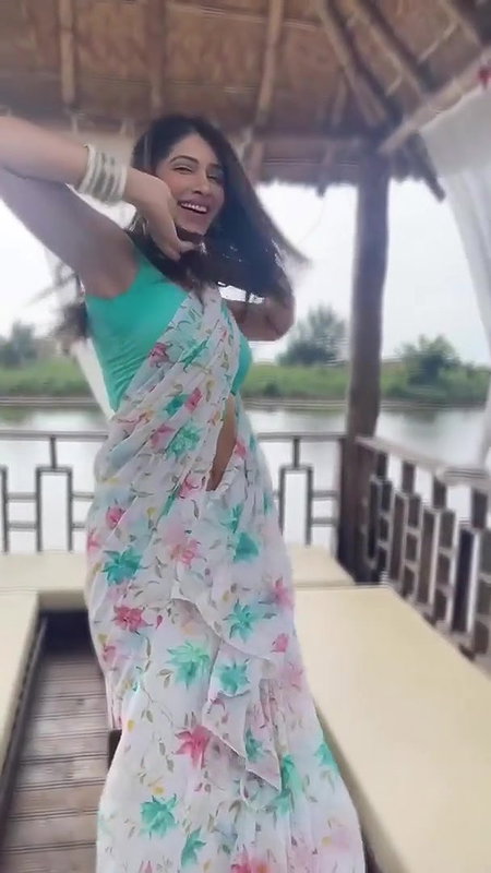 Elakshi Gupta Sexy Moves in Saree