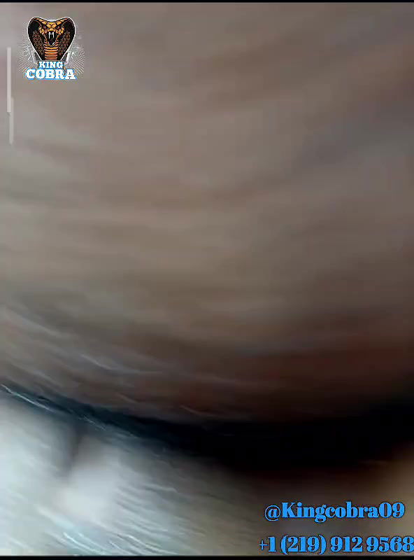 New premium cam collection – 1026