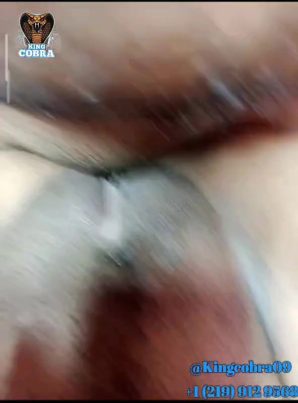 New premium cam collection – 1026