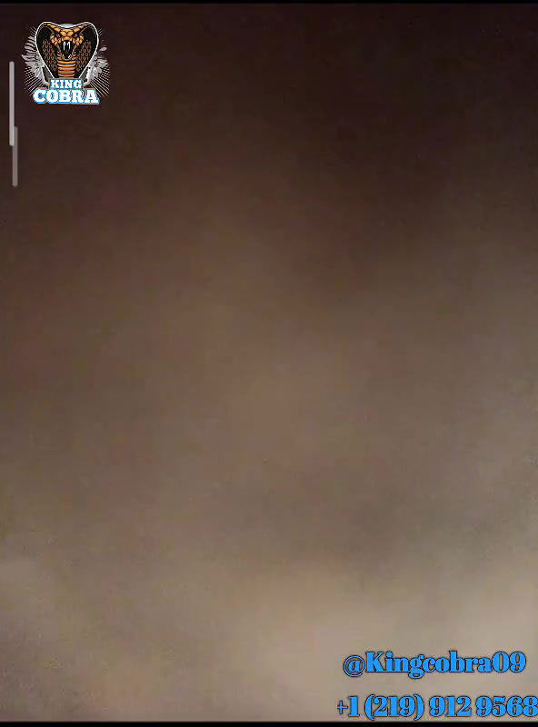 New premium cam collection – 1026