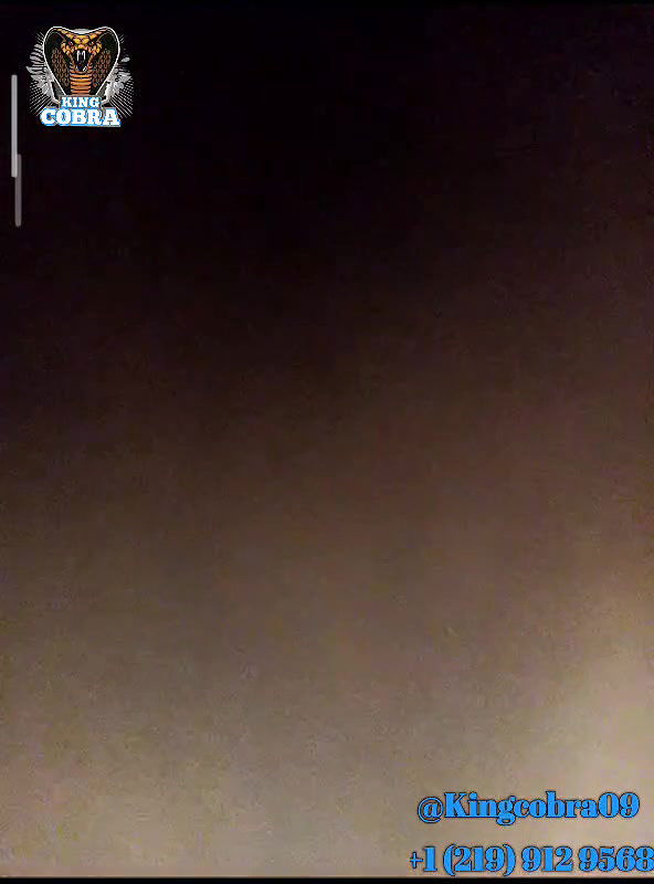 New premium cam collection – 1026