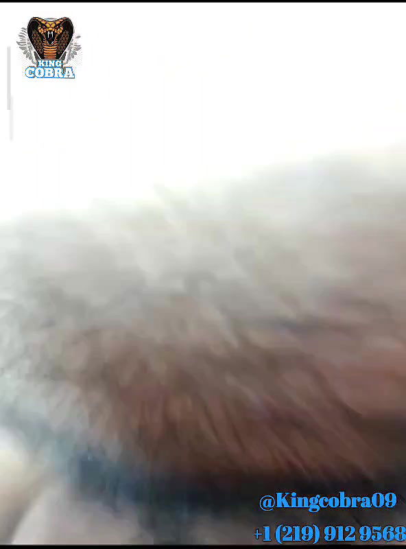 New premium cam collection – 1026