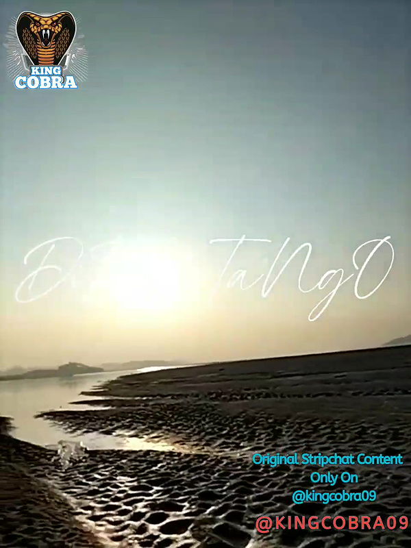 New premium cam collection – 1103