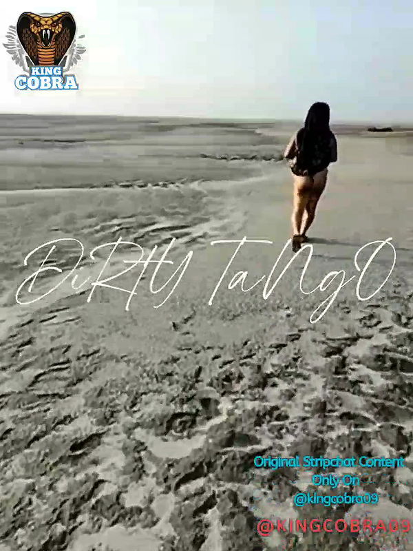 New premium cam collection – 1103