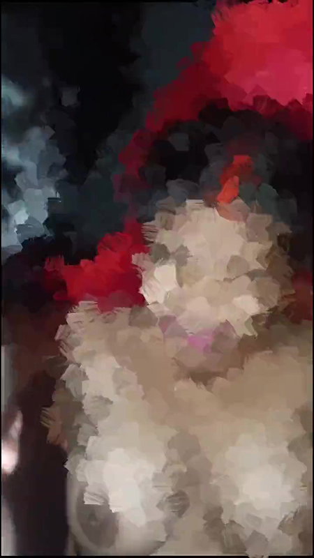 19 minute wala video MMS licked