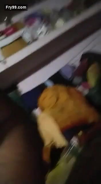 Desi village wife hot ride