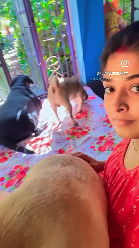Youtuber Indian vlogger raya membership video collection- 21
