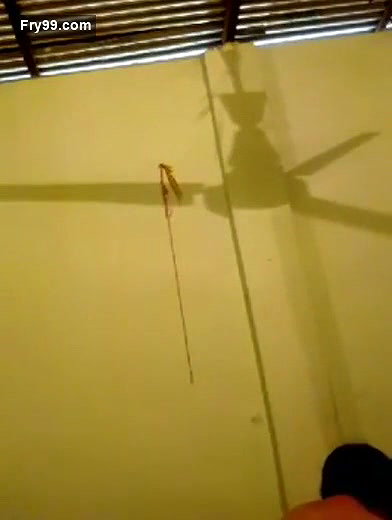 Desi village bhabi show her big boobs and ass