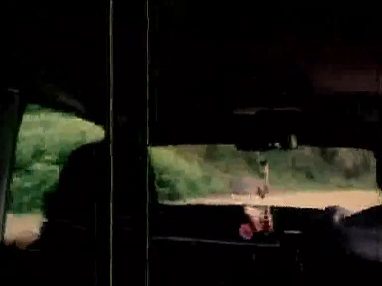 College Of Sex Hot Movie