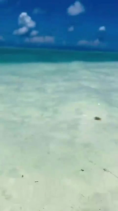 Britny Spers – Insta Vid