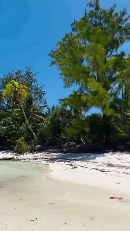 Britny Spers – Insta Vid