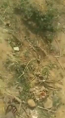 Desi Aunty Nipple Squeeze by Two Guys at Roadside Hut