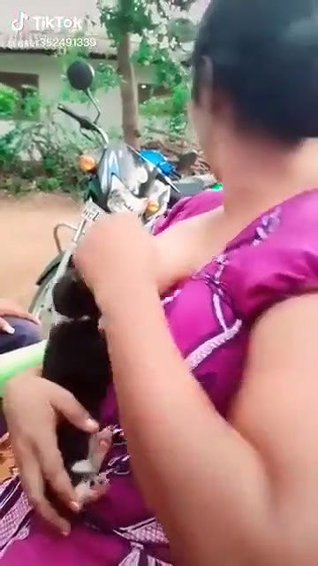 Puppy sucking milk from a desi wife’s boobs directly tiktok