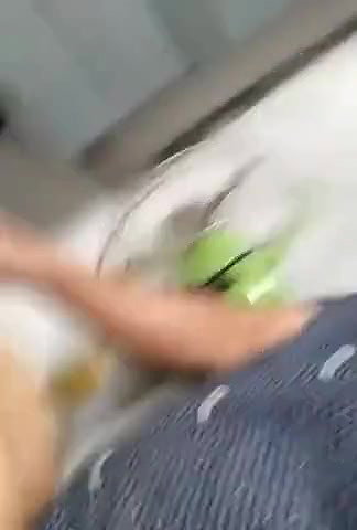 Very Beautiful Employee Quick Fucking with Manager in Office